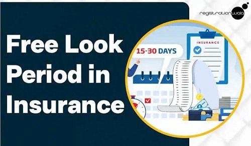 Free-Look Period